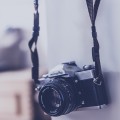 Fotografía de la noticia