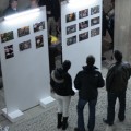 Fotografía de la noticia