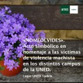 Fotografía de la noticia